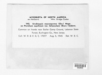 Image Associated With the Occurence